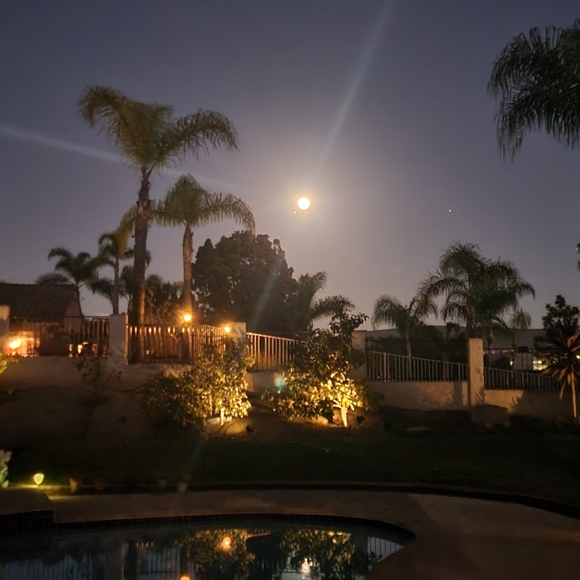 Meet your Posher, Ryon - Picture 10 of 16